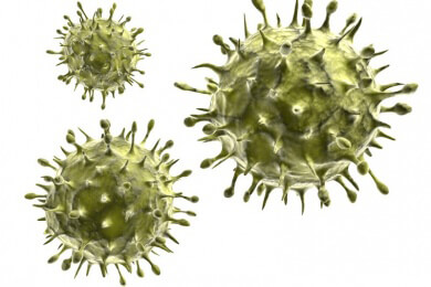 Schweinegrippe H1N1: Verstärkersubstanzen im Impfstoff sind sicher und altbekannt