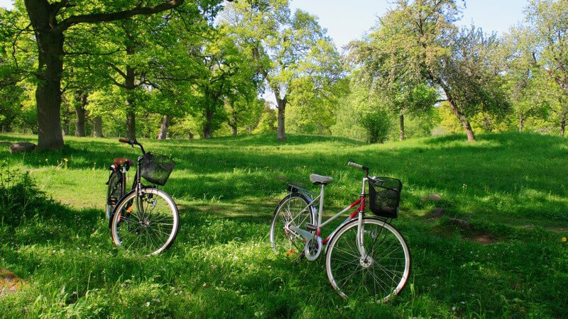 Zwei Fahrräder auf grüner Wiese umgeben von vielen Bäumen
