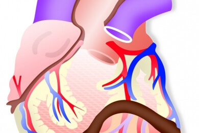 Warum die Änderung des Lebensstils kein Strohfeuer sein darf