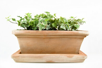 Blumenkübel und die Frage nach der Form, Größe und Bepflanzung