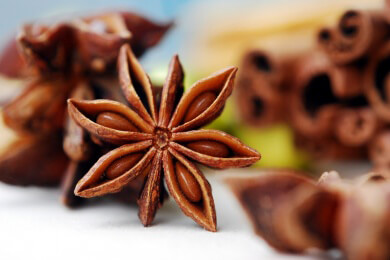 Der Markenname "Dresdner Stollen" ist geschützt