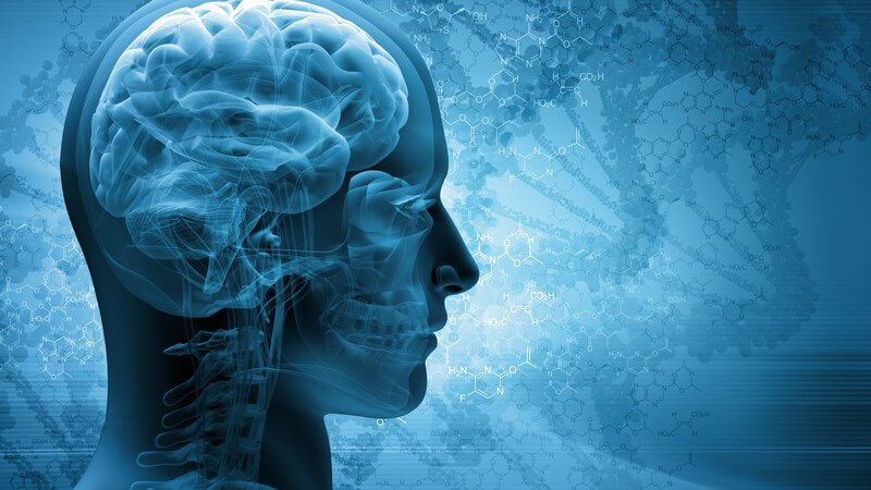 Blaue 3-D-Grafik mit Kopf und Hals eines Mannes, seitlich und mit Röntgenblick auf Gehirn und Knochen