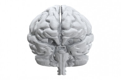 Sprachen: Weshalb Schimpansen nicht sprechen können