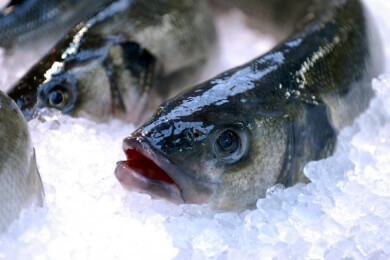 Fisch muss richtig zubereitet werden, damit das Risiko für Herzinfarkt verringert wird