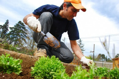 Gemüsebeet statt Pille - Für viele Alte und Behinderte ist das Arbeiten im Garten förderlich