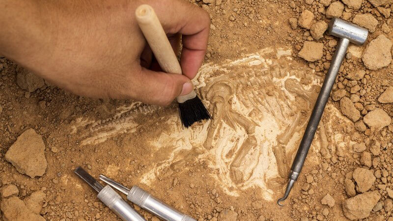 Archäologische Ausgrabungen mit kleinem Handwerkzeug und Pinsel