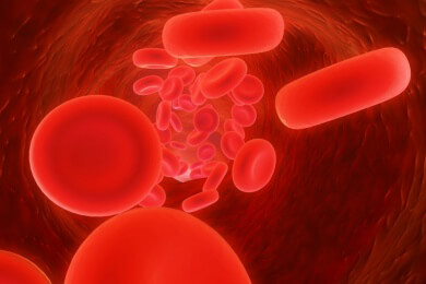 Künstliche Blutplättchen stillen die Wunde bei Inneren Blutungen