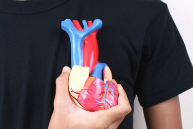 Deutliche Geschlechterunterschiede bei Herzbewegung nachgewiesen