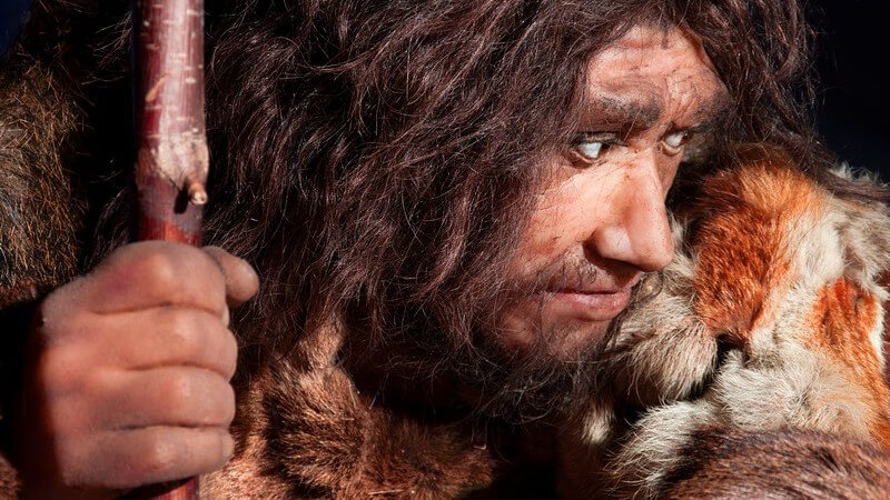 Neandertaler mit Tierfell und Stock