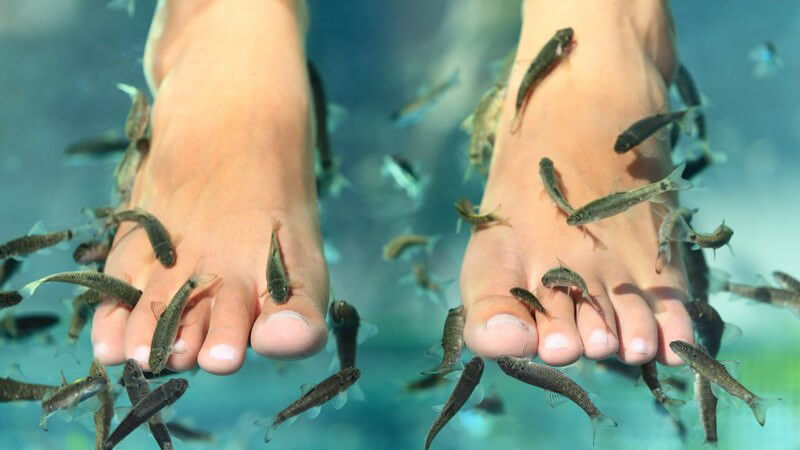 Frauenfüße werden von kleinen Fischen gesäubert