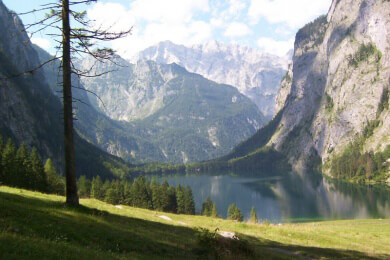 Über 250.000 Euro für verrostetes Auto bei Versteigerung bezahlt