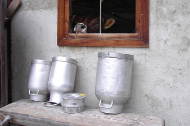 Endlich faire Milchpreise - Bauern gründeten eigene Milchmarke