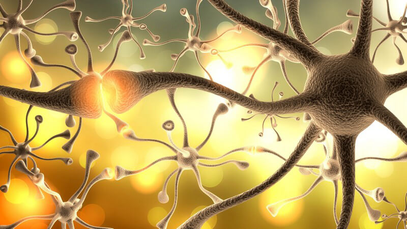 Grau-gelbe 3-D-Grafik des Nervensystems mit Nervenzellen