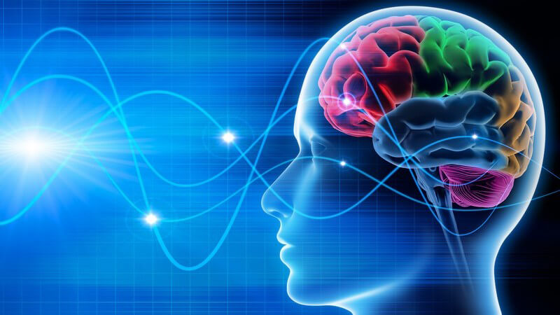 Blaue Grafik eines menschlichen Kopfes mit farblich markierten Gehirnregionen und Schwingungen