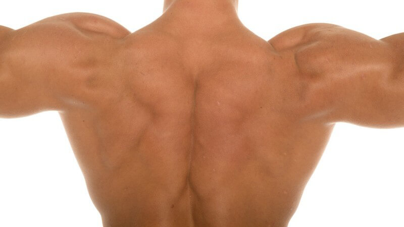 Nackter Rücken eines muskulösen Mannes