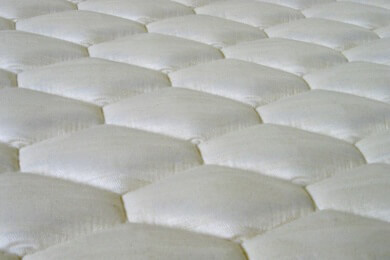 Sie kriegen Euch alle! Große Parasiten-Plage in Vancouver