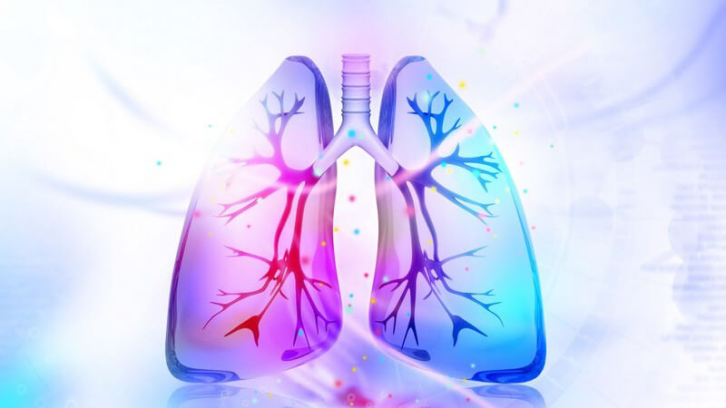 Grafik der menschlichen Lunge in lila-blauen Farbtönen
