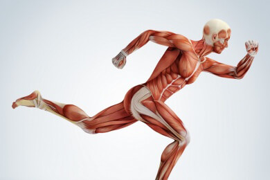 Tägliche Bewegung unterliegt starren Regeln und Routine