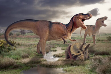 Die Ursache des Untergangs der Dinosaurier war ein Meteorit