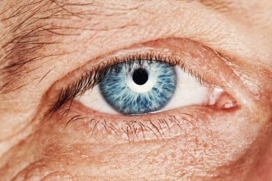 Nicht die Möhre, sondern Grünkohl ist besser für die Augen, besonders im Alter