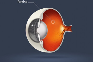 Das bionische Auge: Neue Entwicklung zur Verbesserung der Sehfähigkeit
