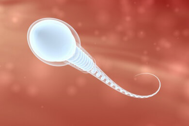 Spermienqualität - was sie verbessert, was sie verschlechtert