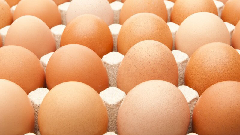 Palette mit braunen Eiern