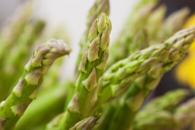 Die Spargelsaison in Deutschland hat begonnen