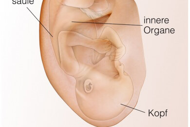 Ohrakupunktur hat Einfluß auf die Sehkraft des Auges