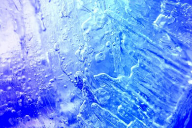Der strenge Winter hat viele Fische in Seen und Teichen das Leben gekostet