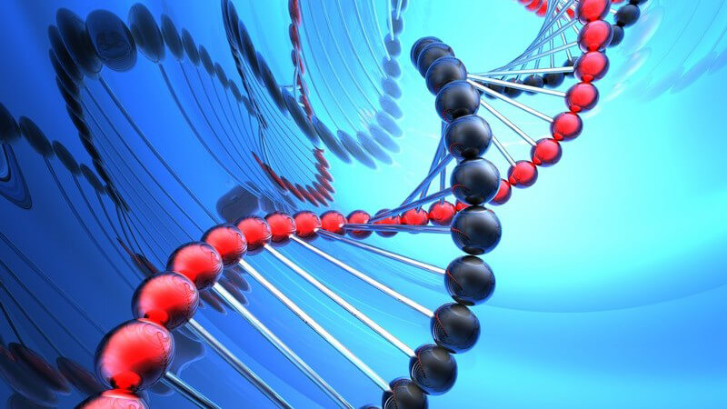 Grafik DNA