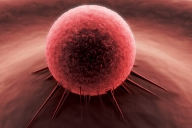 Immunabwehr im Kampf gegen Tumore