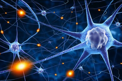 Wie Nervenzellen sich gegenseitig verständigen