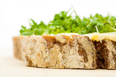 Das Butterbrot ist wieder da