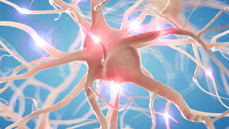 3-D-Grafik einer aktiven Nervenzelle, rosa vor blauem Hintergrund
