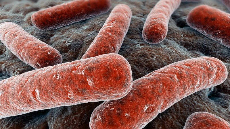 Grafik Bakterien auf dunkelm Untergrund aus Mikroskop Sicht