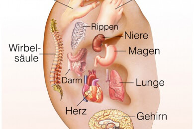 Vermindertes Schmerzempfinden durch Akupunktur