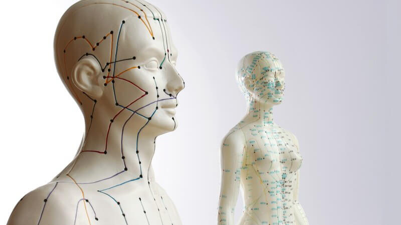 Modell eines menschlichen Körpers mit angezeichneten, farbigen Akupunktur Punkten und Strichen