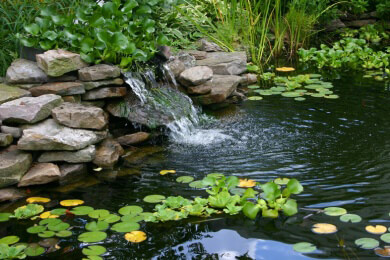 Natur-Schwimmteich - Wellness-Oase im eigenen Garten