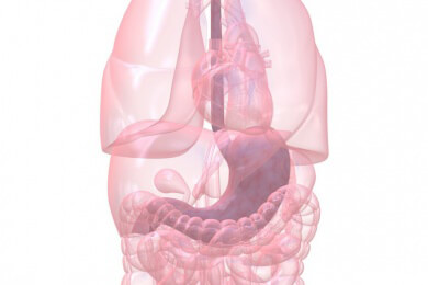 Magenschmerzen durch Stress