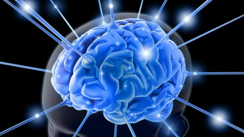 Grafik Gehirn Neurologie in blau