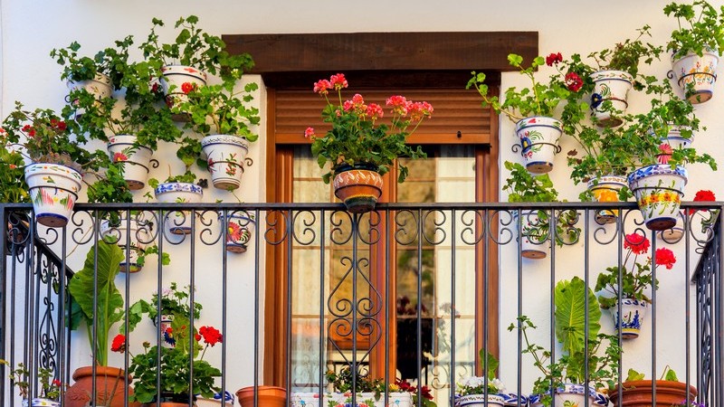 Balkon mit grauem Geländer und unzähligen bunten Blumentöpfen an Geländer, Wand und Boden