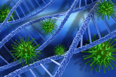 Viren können auch schon im menschlichen Erbgut vorhanden sein