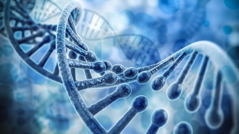 Blaue 3-D-Grafik eines DNA-Moleküls
