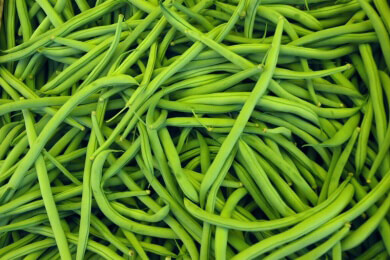 Schlank und gesund mit grünen Bohnen