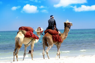 Touristenziel Marrakesch