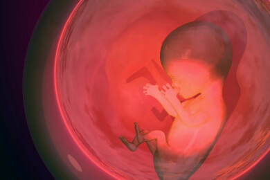 Neue Studie: Nach Fehlgeburt nicht zu lange mit erneuter Schwangerschaft warten