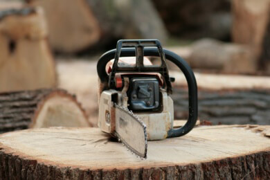 Holzabbau um Dar es Salaam