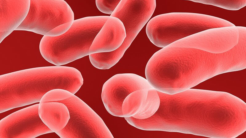 Mikroskopisches Bild von Bakterien auf rotem Hintergrund