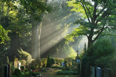 Wien - Friedhof wird zum Rückzugsgebiet für viele verschiedene Tierarten